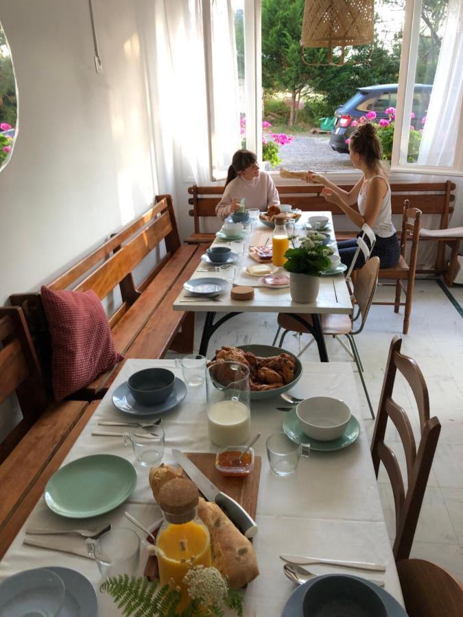 סורטס הוסגור Surfhostel Hossegor מראה חיצוני תמונה